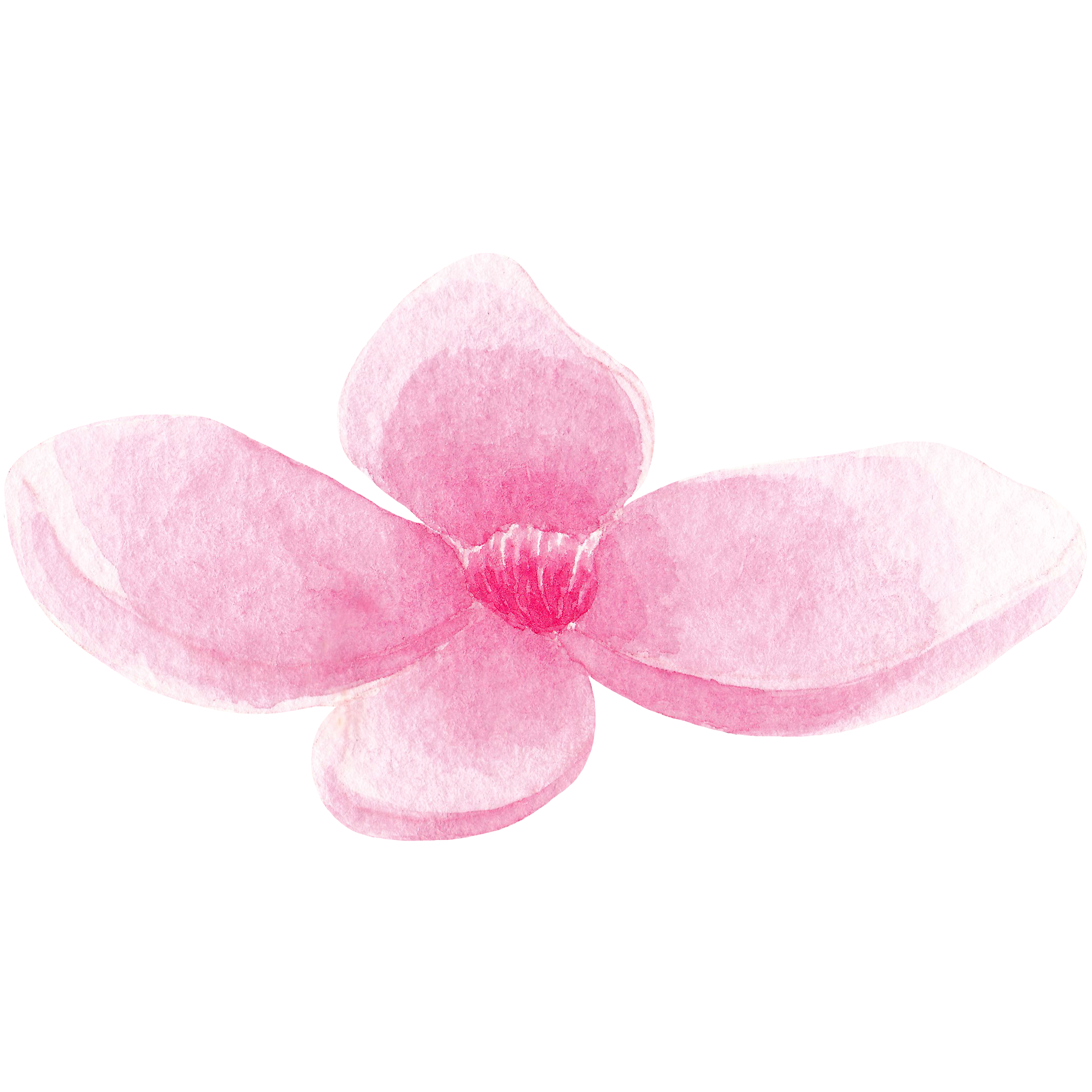 flower decoration